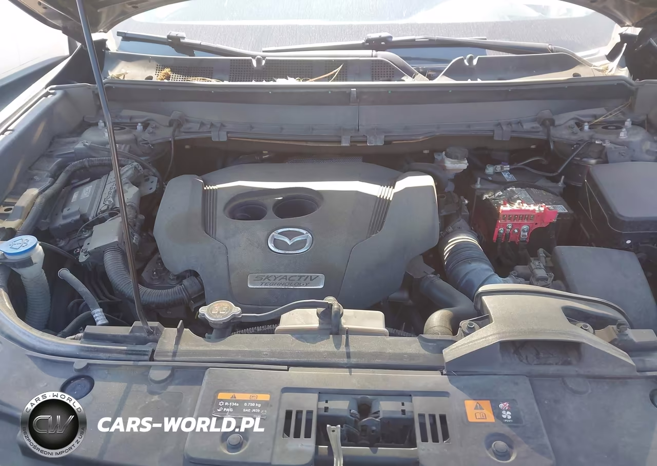 2018 Mazda Cx-9 Touring VIN:JM3TCACY0J0233011 - 10