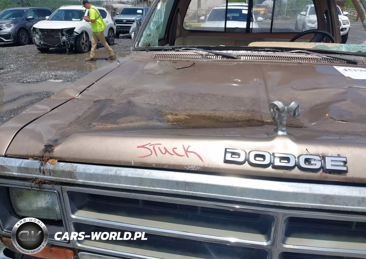 1989 Dodge D-Series D150 VIN:1B7FE16Y2KS070296 - 10