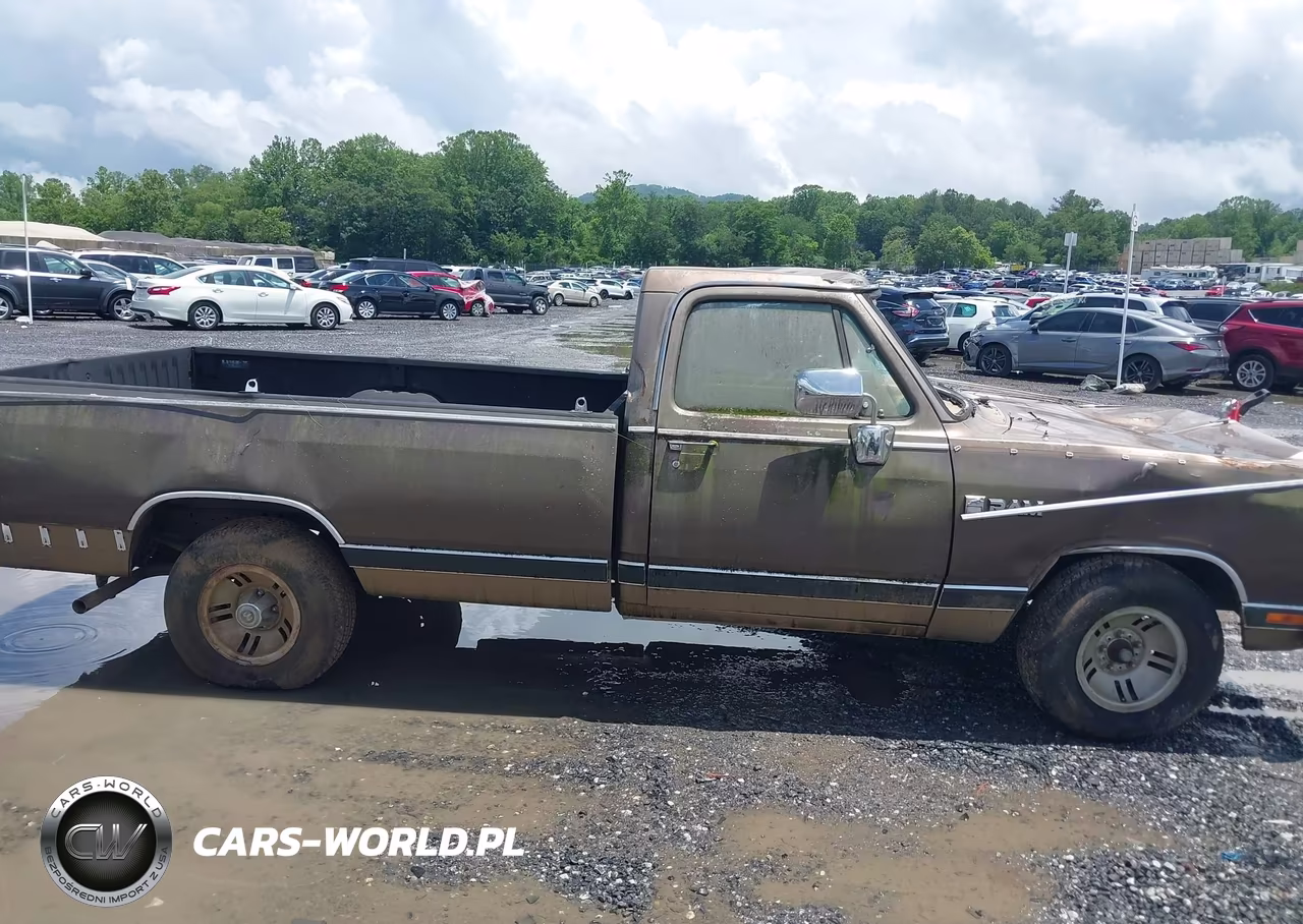 1989 Dodge D-Series D150 VIN:1B7FE16Y2KS070296 - 13