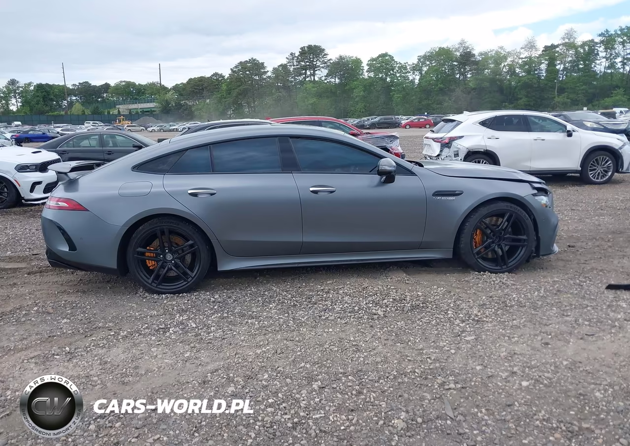 2020 Mercedes-Benz Amg Gt 63 4-Door Coupe VIN:WDD7X8JB4LA013329 - 13