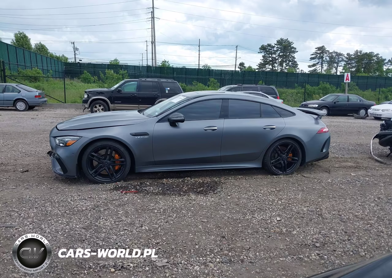 2020 Mercedes-Benz Amg Gt 63 4-Door Coupe VIN:WDD7X8JB4LA013329 - 14