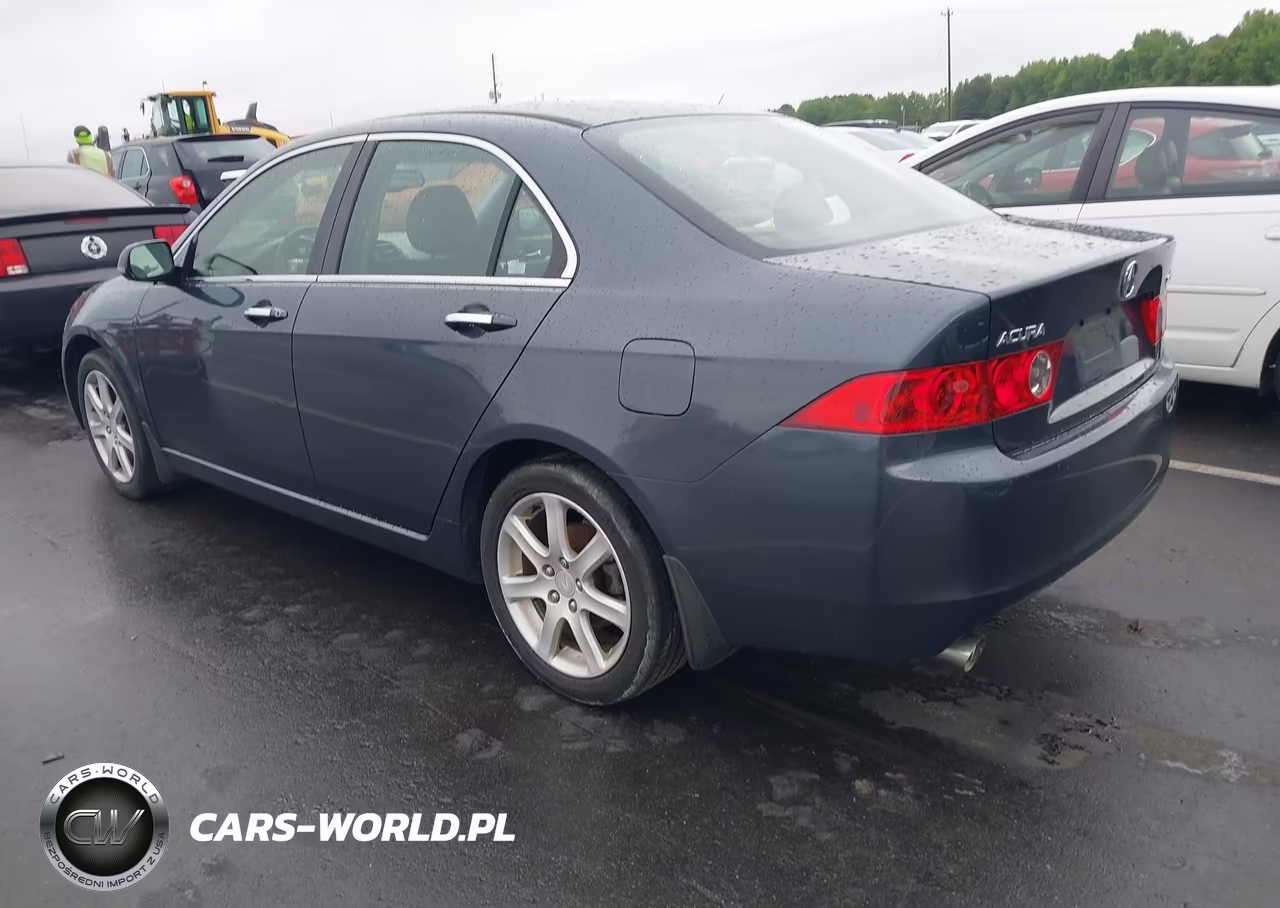 2004 Acura Tsx VIN:JH4CL969X4C024291 - 3