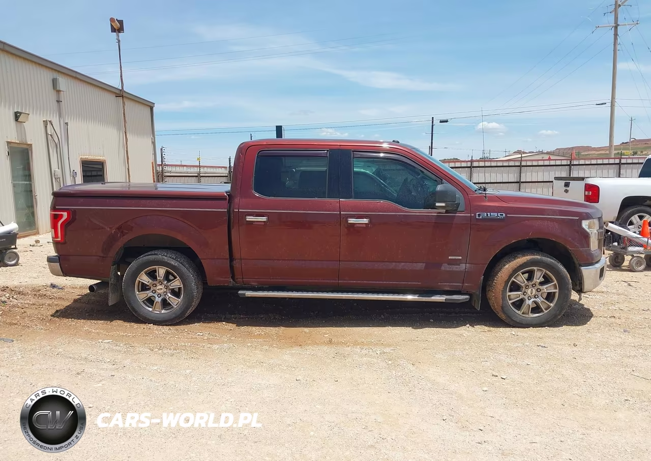 2016 Ford F-150 Xlt VIN:1FTEW1CPXGFC17579 - 13