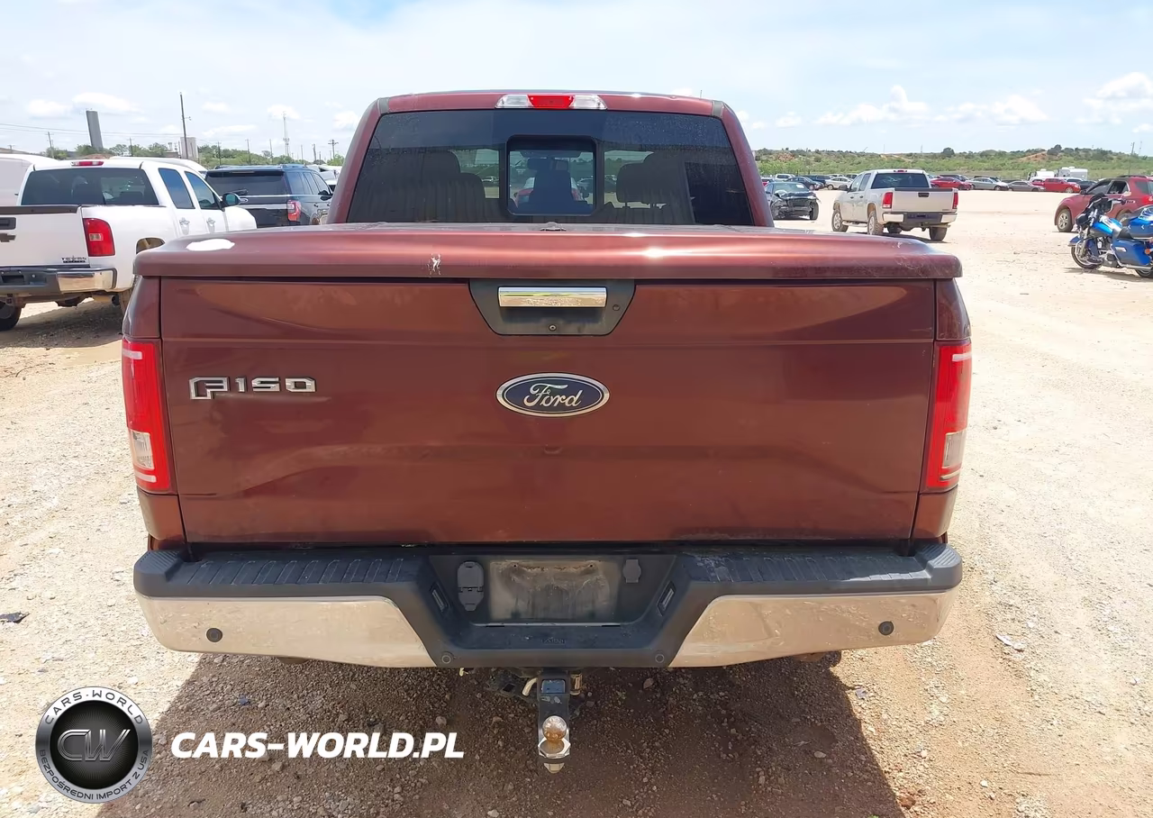 2016 Ford F-150 Xlt VIN:1FTEW1CPXGFC17579 - 16