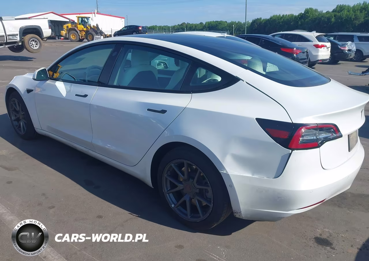 2021 Tesla Model 3 Long Range VIN:5YJ3E1EBXMF059692 - 3