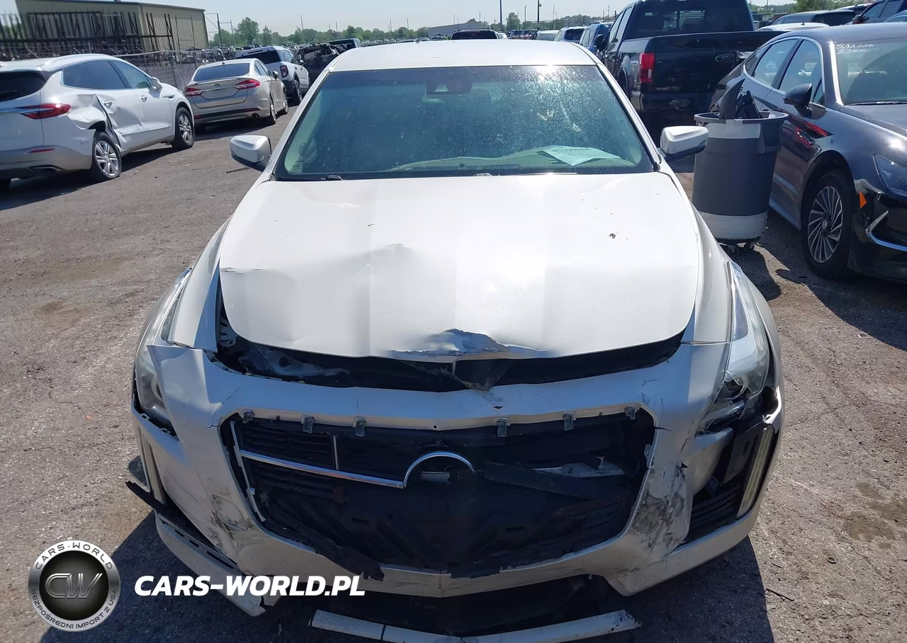 2014 Cadillac Cts Luxury VIN:1G6AR5S39E0124440 - 12