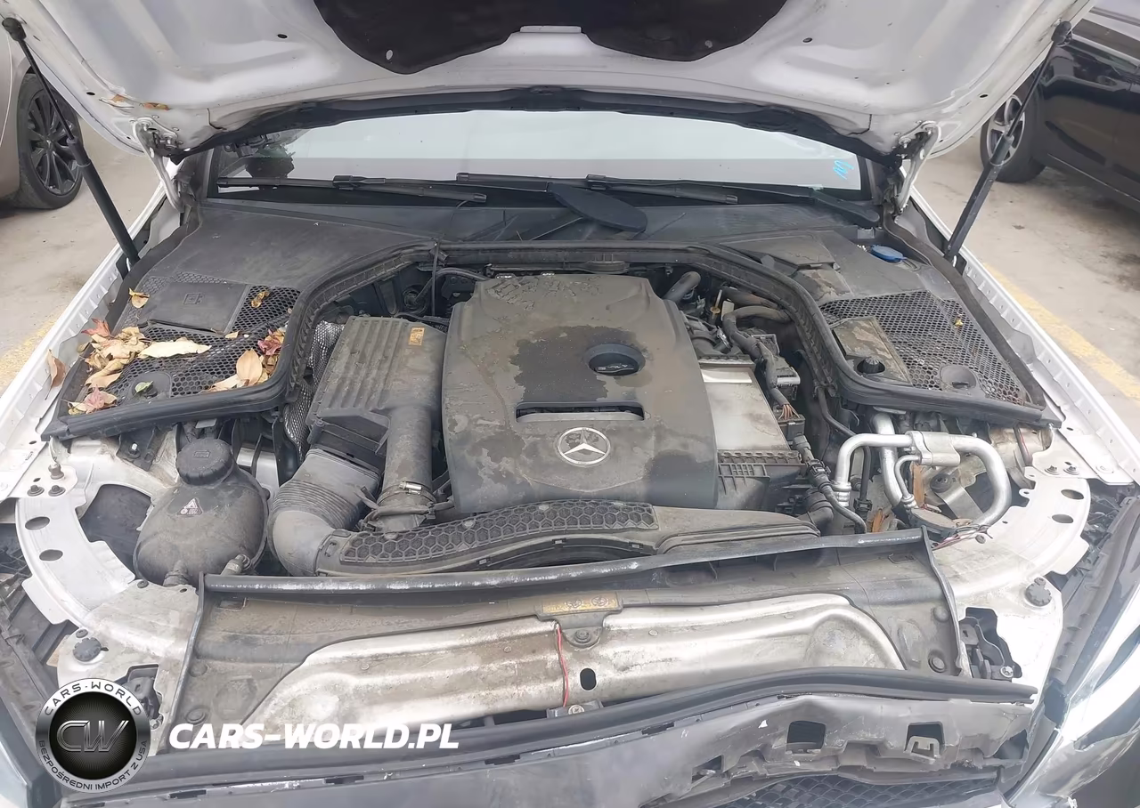 2018 Mercedes-Benz C 300 VIN:55SWF4JB0JU263879 - 10