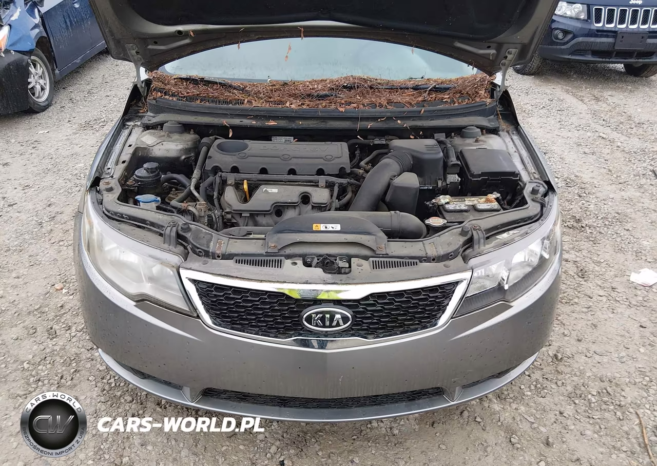 2012 Kia Forte Ex VIN:KNAFU5A24C5519004 - 10