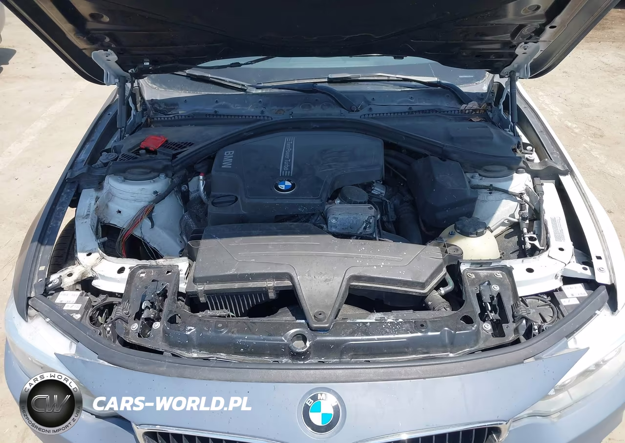 2014 BMW 428I VIN:WBA3N7C56EF718782 - 10