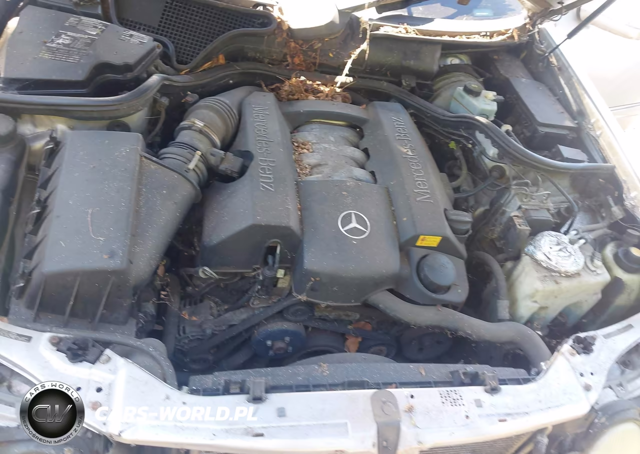 1999 Mercedes-Benz E 320 Awd VIN:WDBJH82F7XX024874 - 10