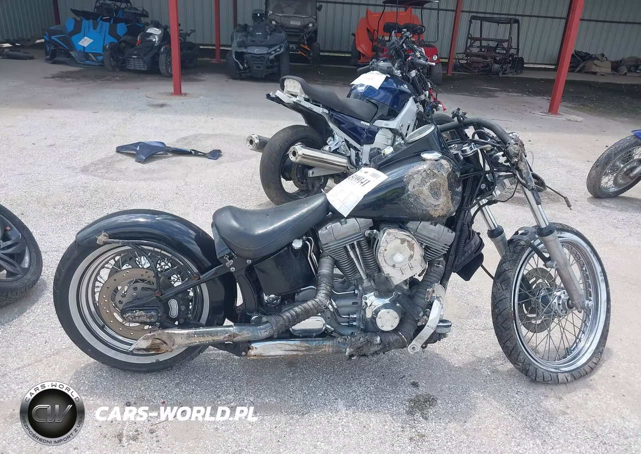 2000 Harley-Davidson Fxst VIN:1HD1BHY1XYY041435 - 11