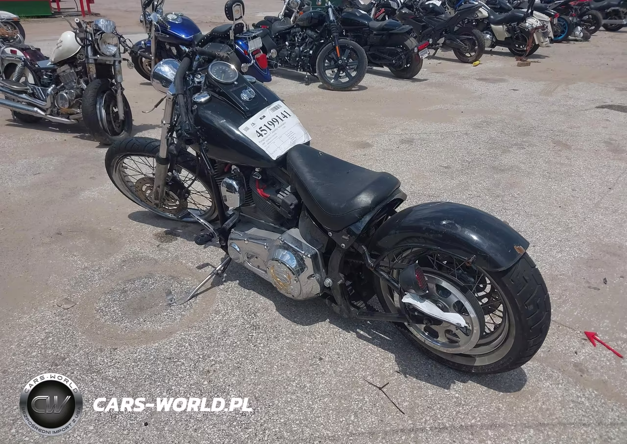 2000 Harley-Davidson Fxst VIN:1HD1BHY1XYY041435 - 3