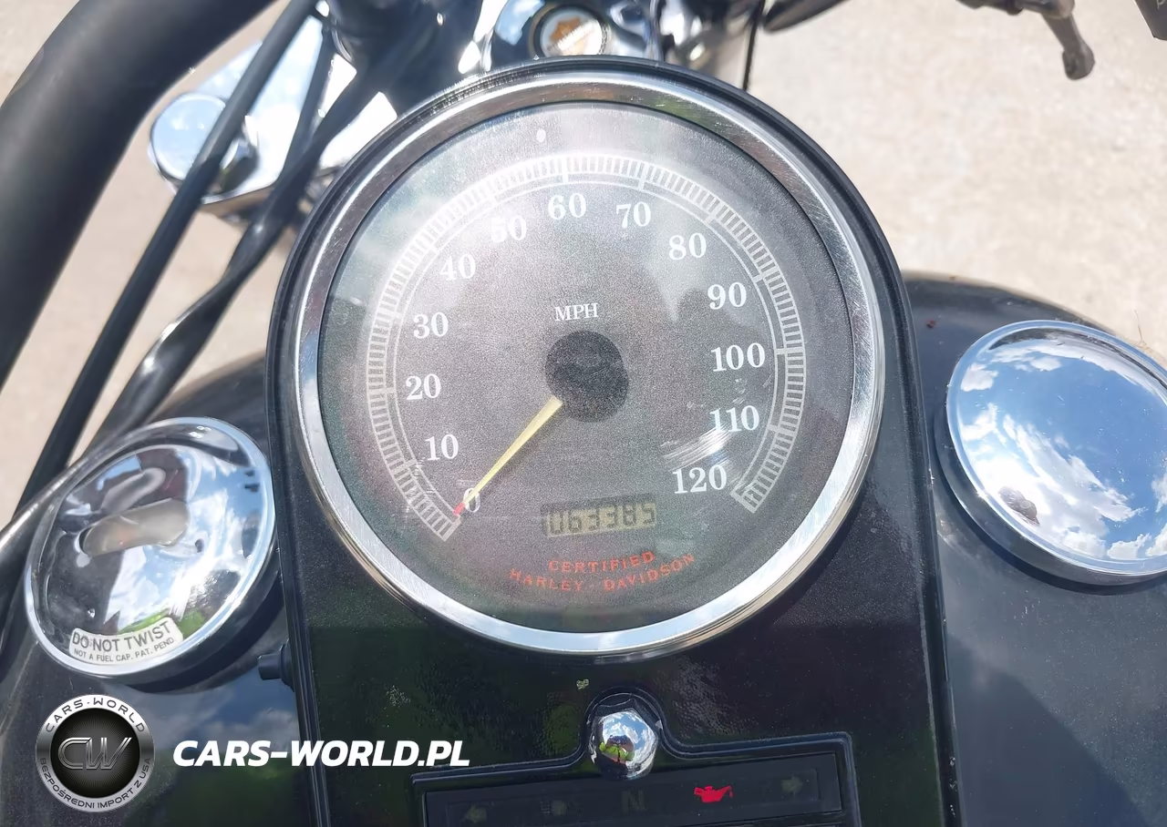 2000 Harley-Davidson Fxst VIN:1HD1BHY1XYY041435 - 7