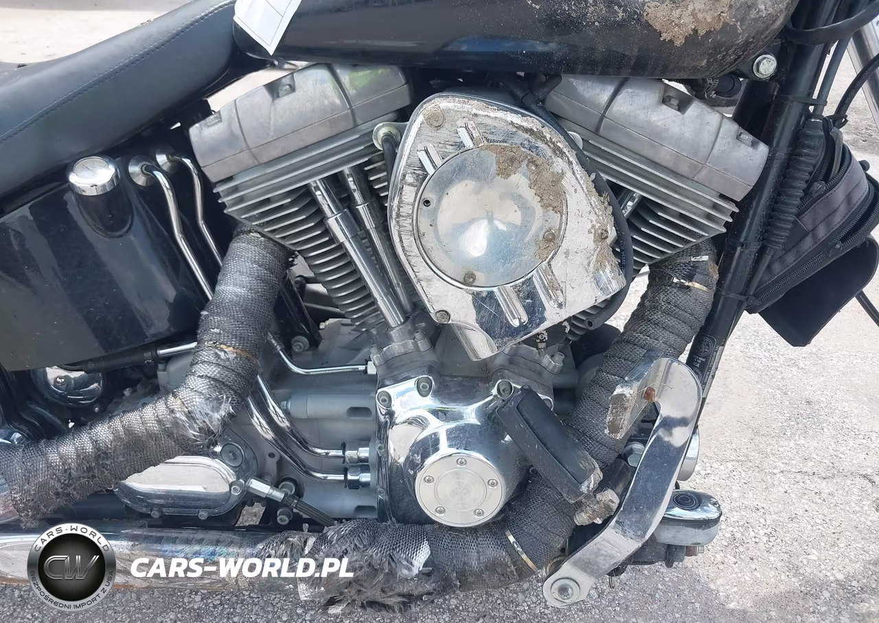 2000 Harley-Davidson Fxst VIN:1HD1BHY1XYY041435 - 8