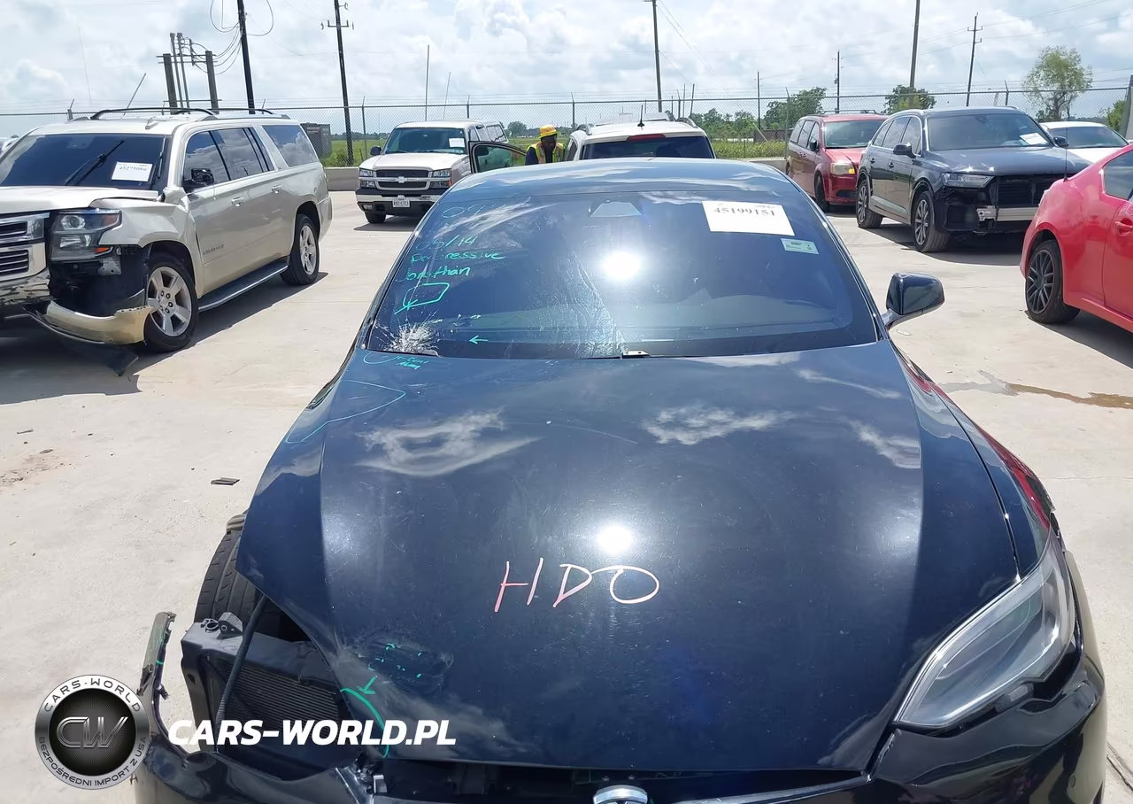 2018 Tesla Model S 100D-75D-P100D VIN:5YJSA1E28JF280789 - 10
