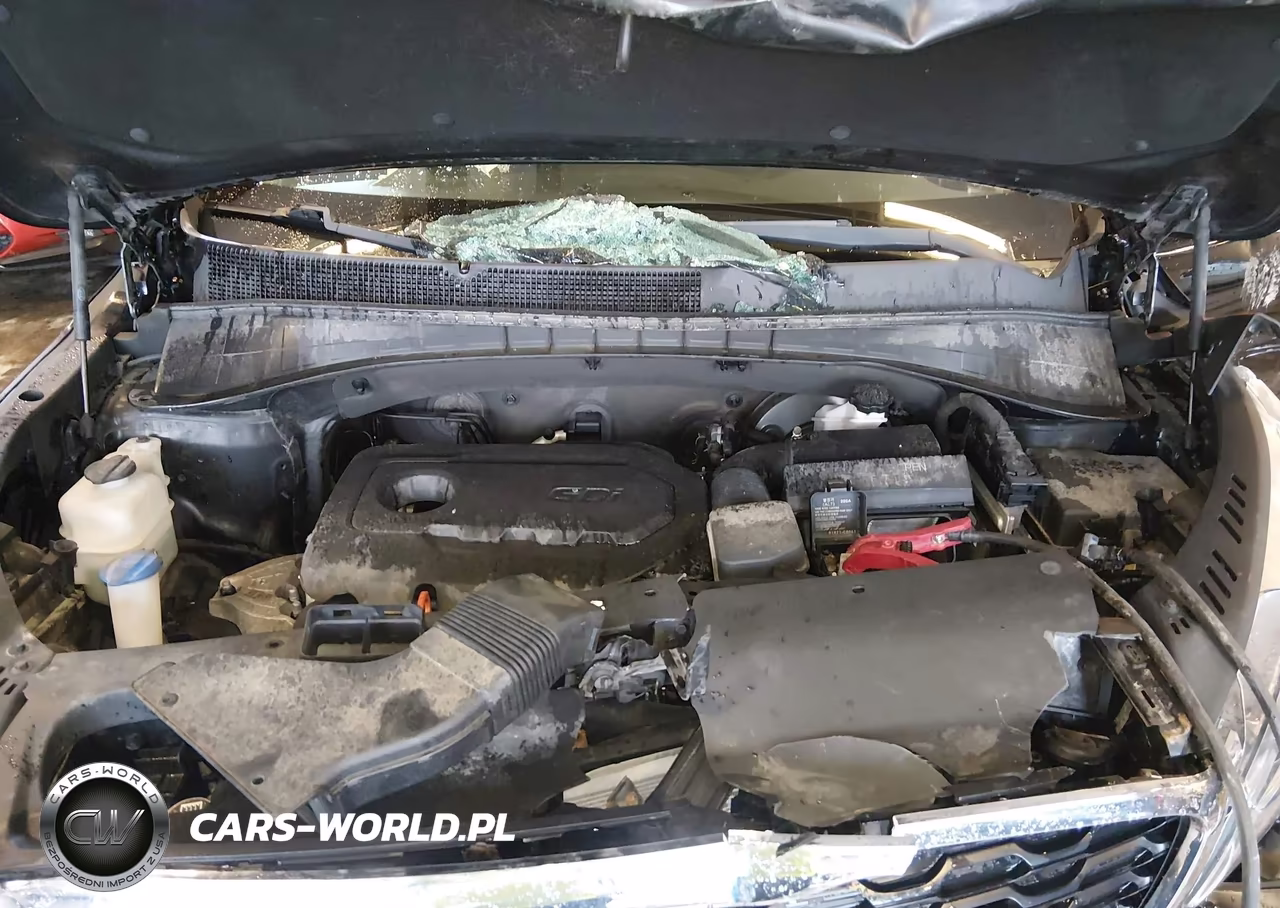 2019 Kia Sorento 2.4L Lx VIN:5XYPGDA33KG461488 - 10