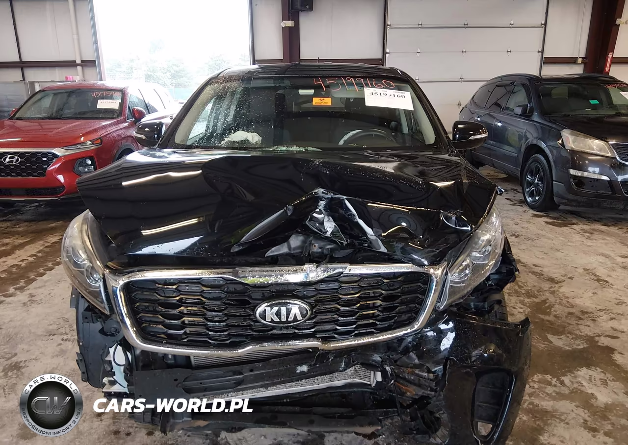 2019 Kia Sorento 2.4L Lx VIN:5XYPGDA33KG461488 - 13