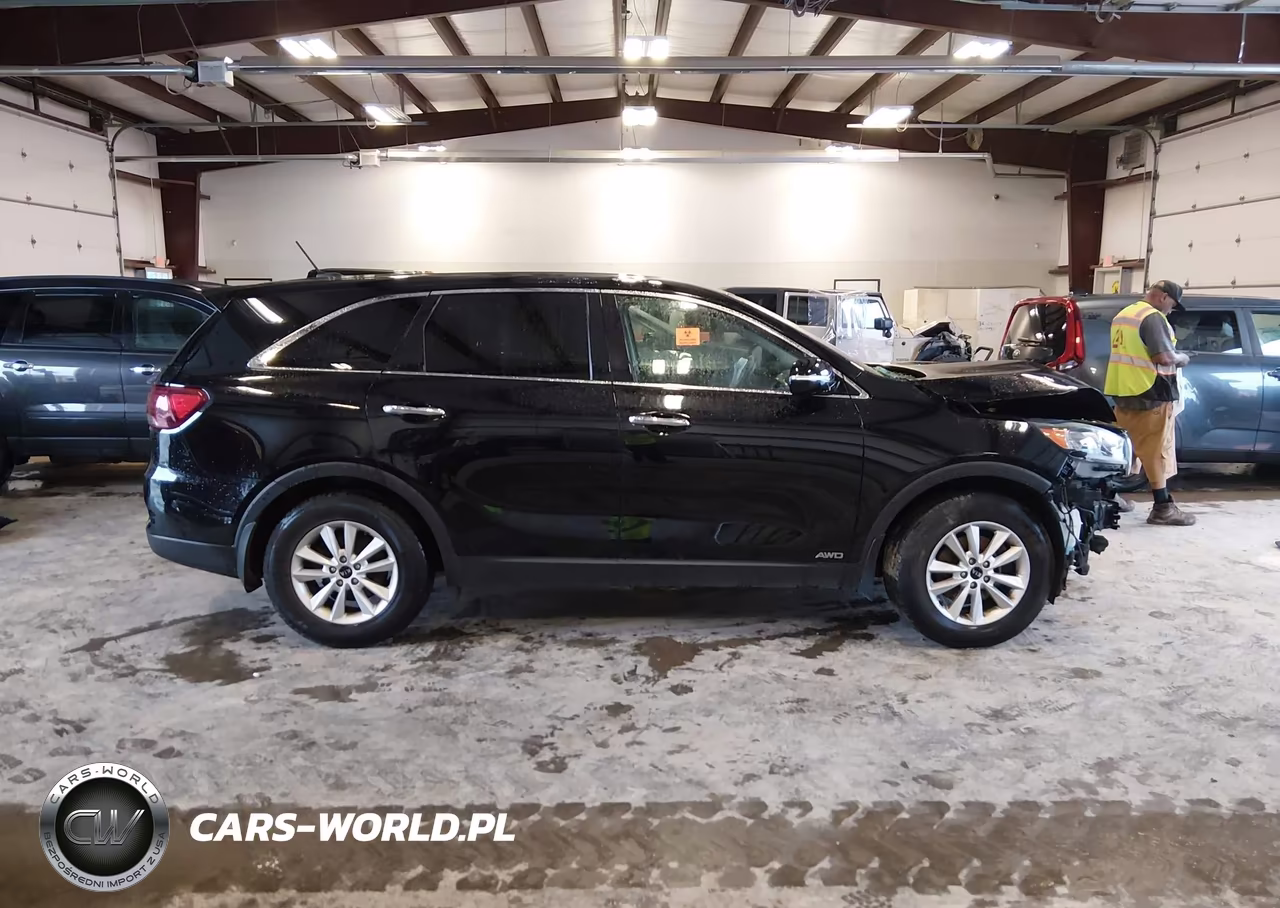 2019 Kia Sorento 2.4L Lx VIN:5XYPGDA33KG461488 - 14