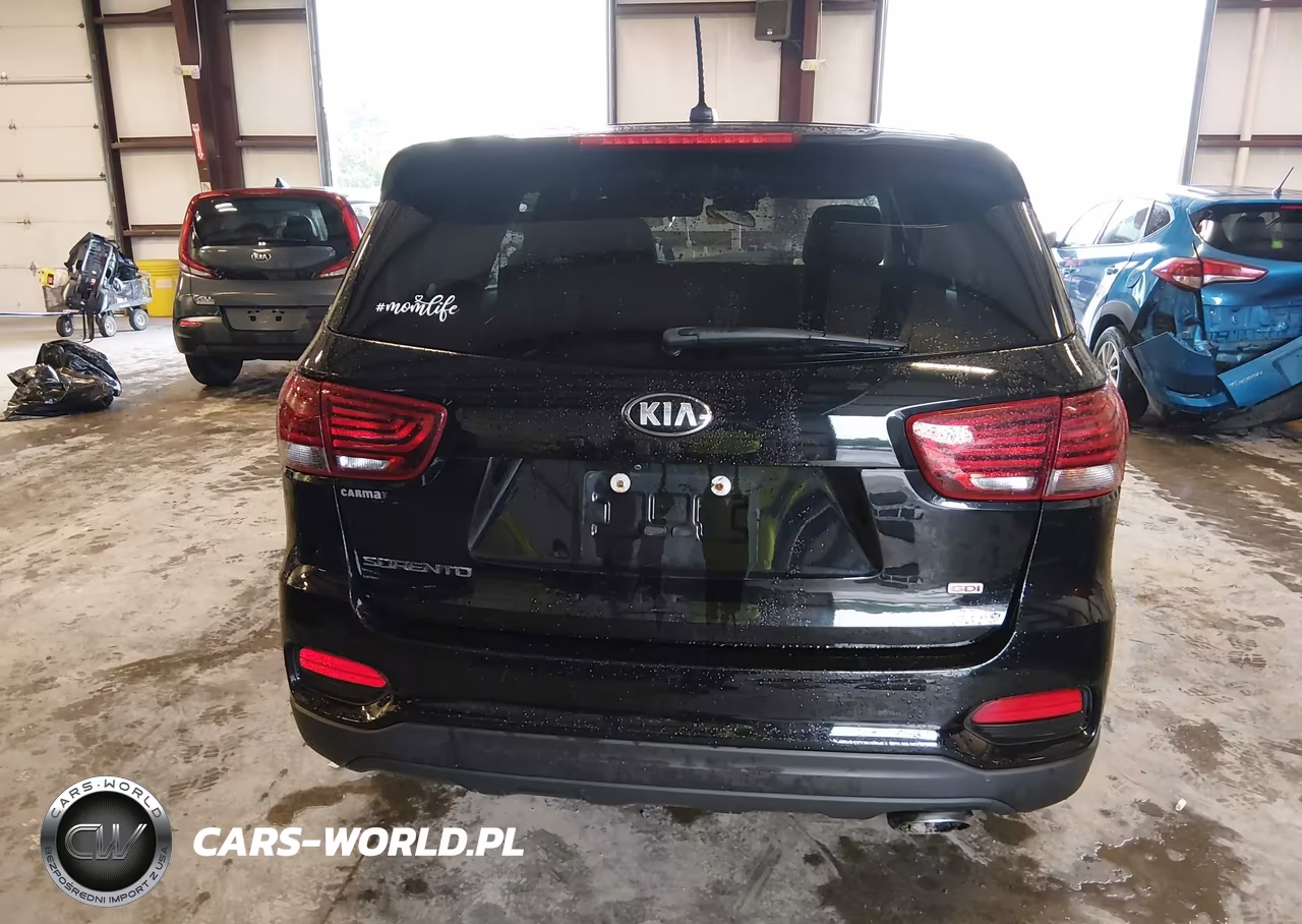 2019 Kia Sorento 2.4L Lx VIN:5XYPGDA33KG461488 - 17