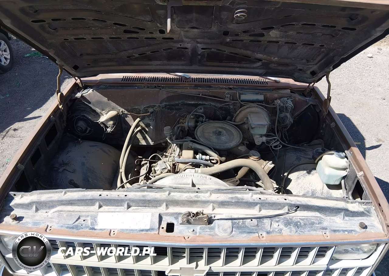 1981 Chevrolet K10 VIN:1GCEK14D7BF385978 - 10