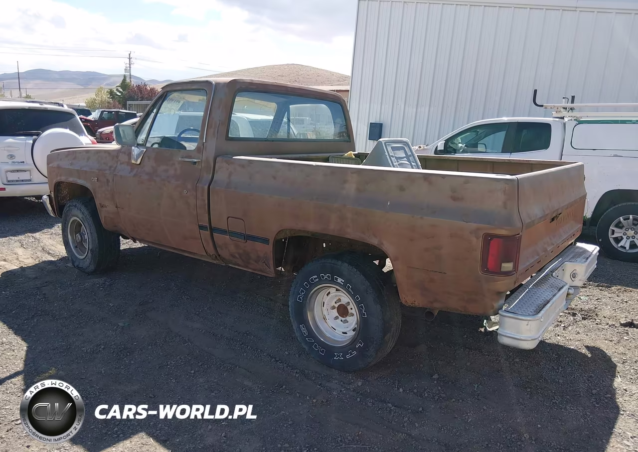 1981 Chevrolet K10 VIN:1GCEK14D7BF385978 - 3