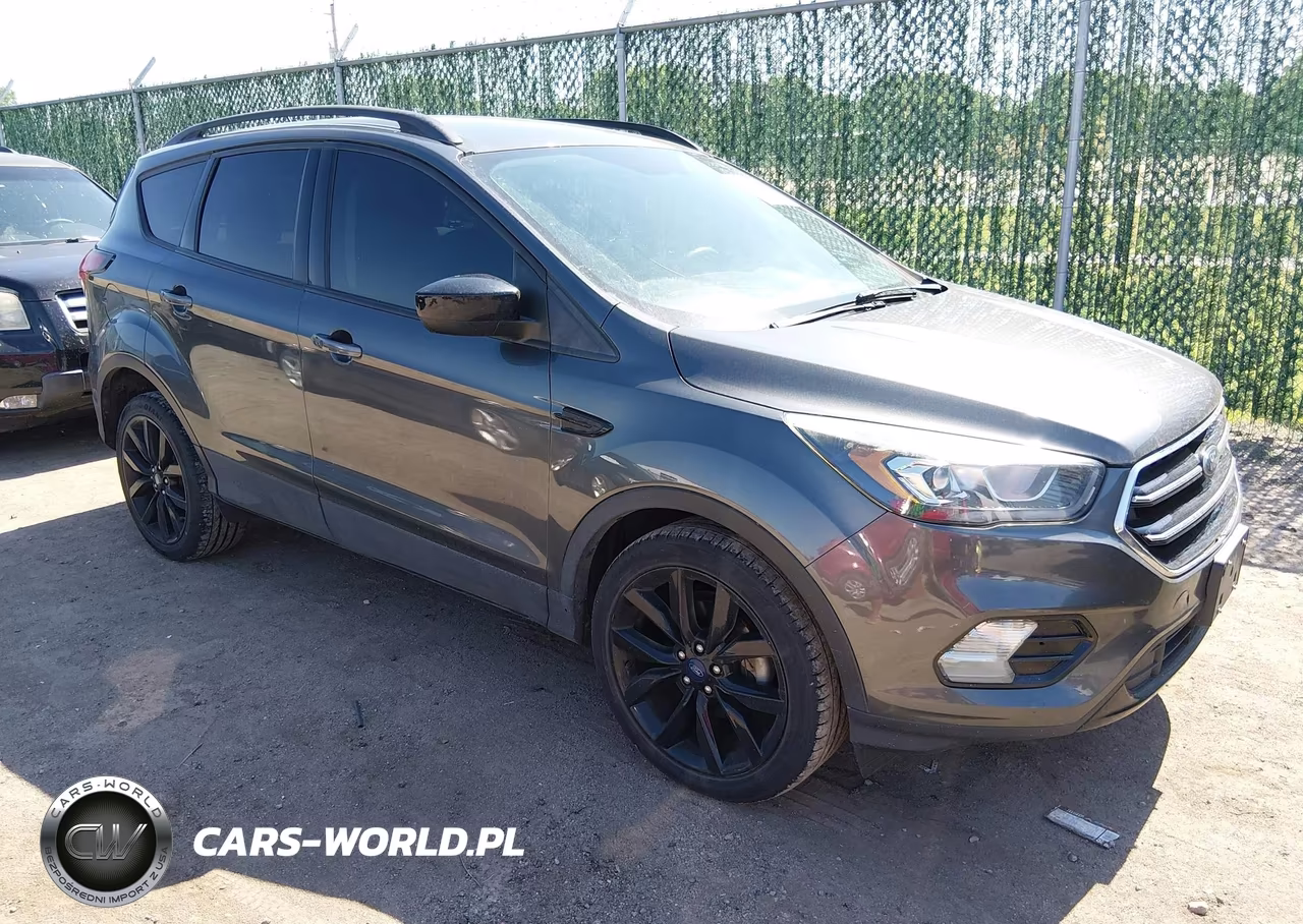 2019 Ford Escape Se