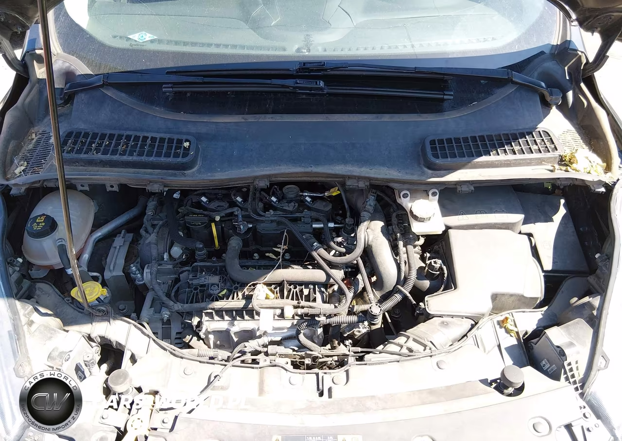 2019 Ford Escape Se VIN:1FMCU0GD7KUA18836 - 10