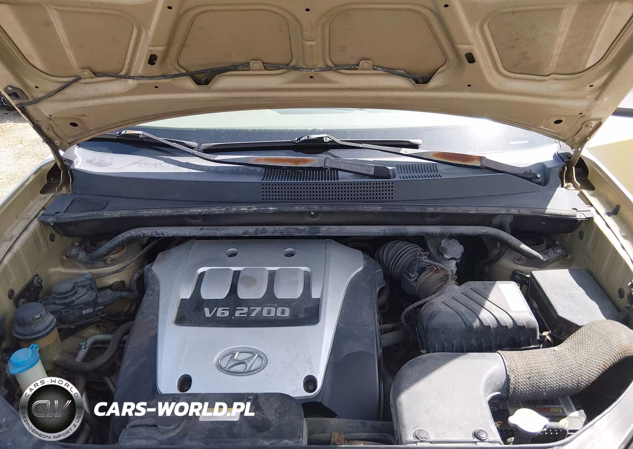 2005 Hyundai Tucson Gls-Lx VIN:KM8JN12D75U135659 - 10