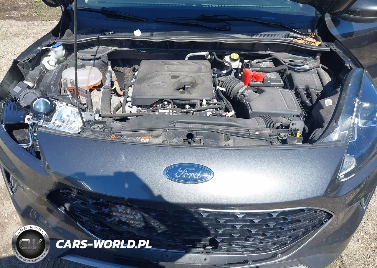 2020 Ford Escape Se VIN:1FMCU9G67LUA98081 - 10