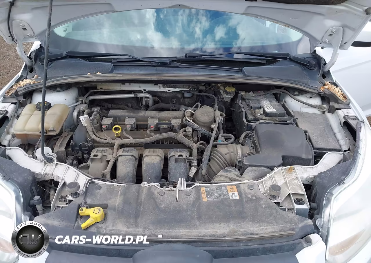 2014 Ford Focus Se VIN:1FADP3K26EL312395 - 10
