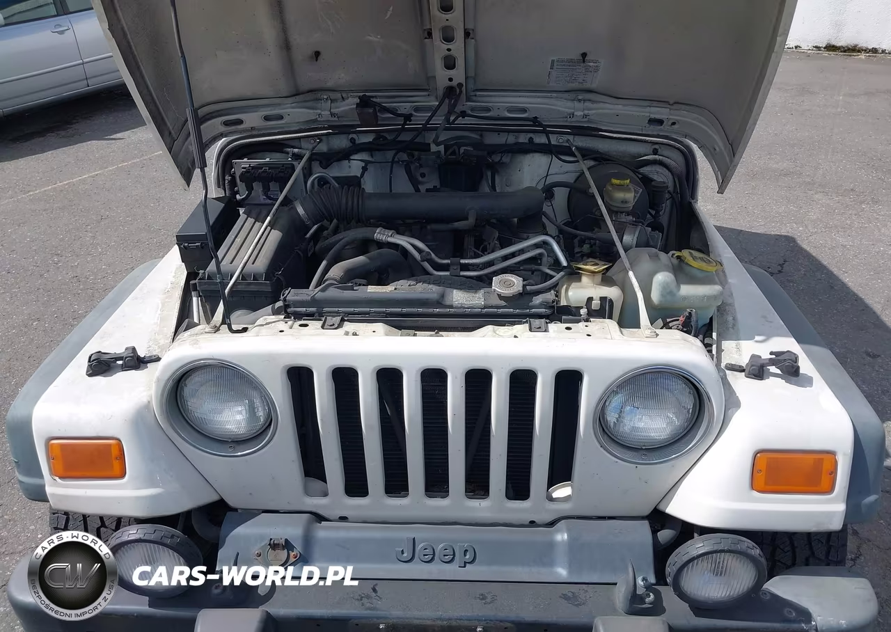 2004 Jeep Wrangler Sport VIN:1J4FA49S04P744336 - 10
