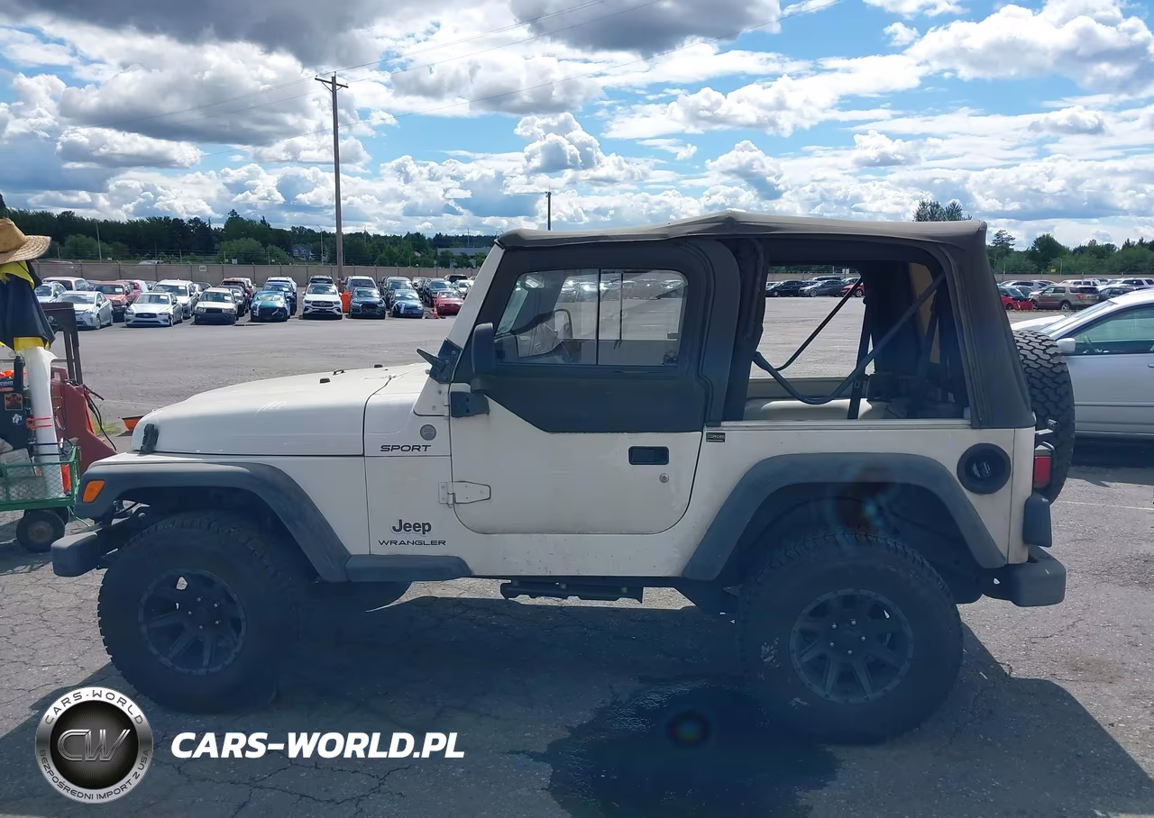 2004 Jeep Wrangler Sport VIN:1J4FA49S04P744336 - 14