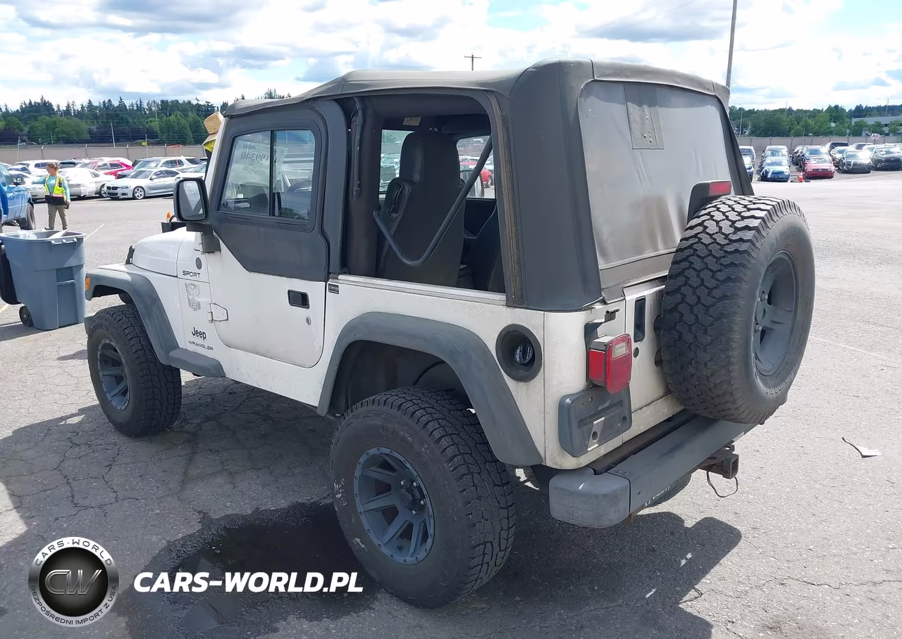2004 Jeep Wrangler Sport VIN:1J4FA49S04P744336 - 3