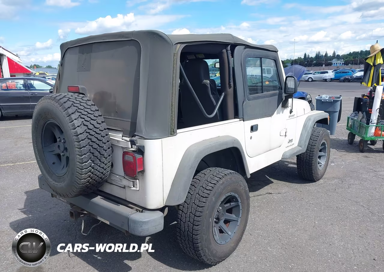 2004 Jeep Wrangler Sport VIN:1J4FA49S04P744336 - 4