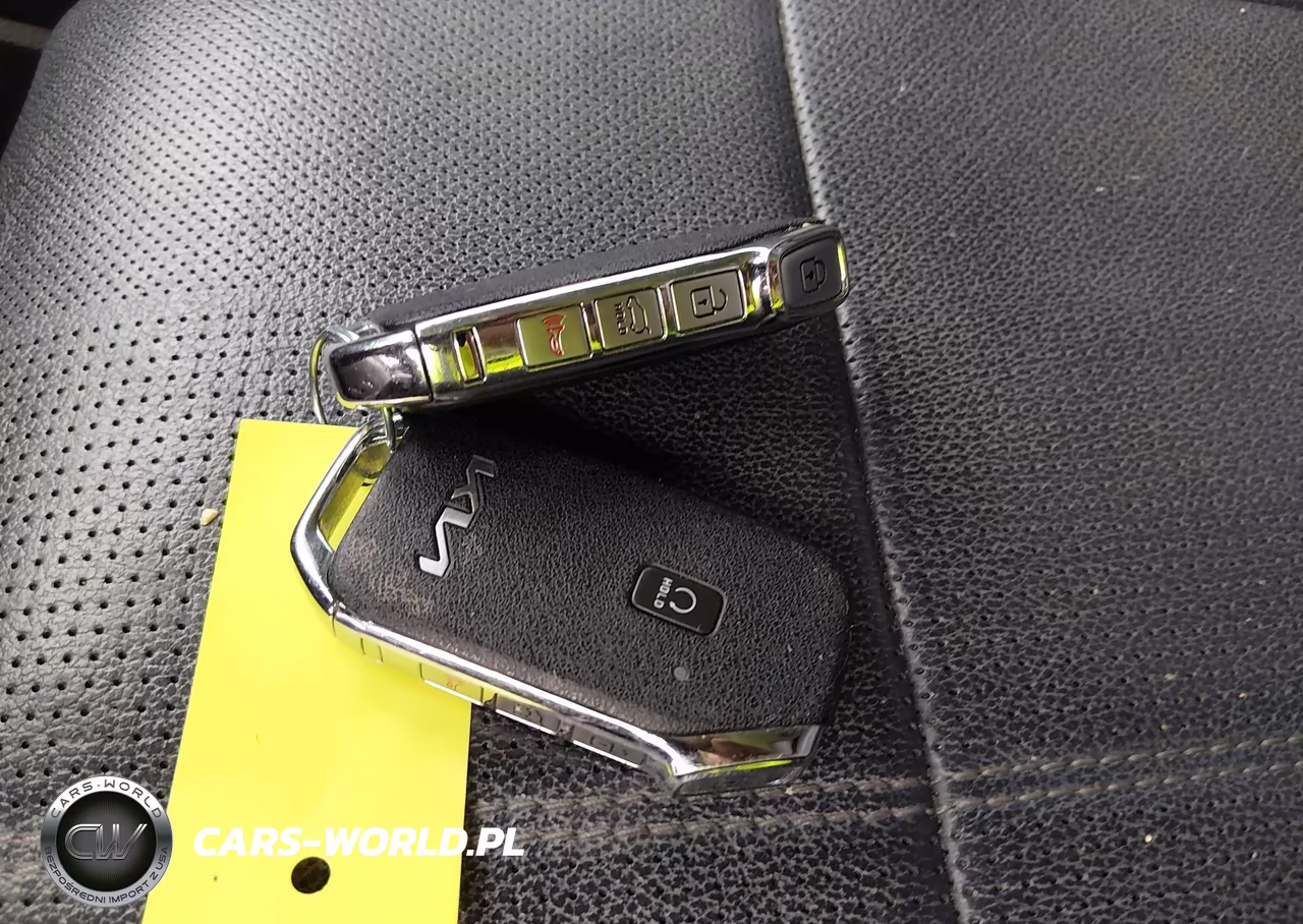 2022 Kia Telluride Sx VIN:5XYP5DHC0NG285239 - 11