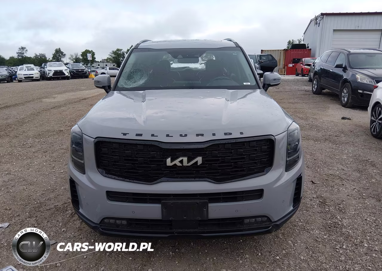 2022 Kia Telluride Sx VIN:5XYP5DHC0NG285239 - 12
