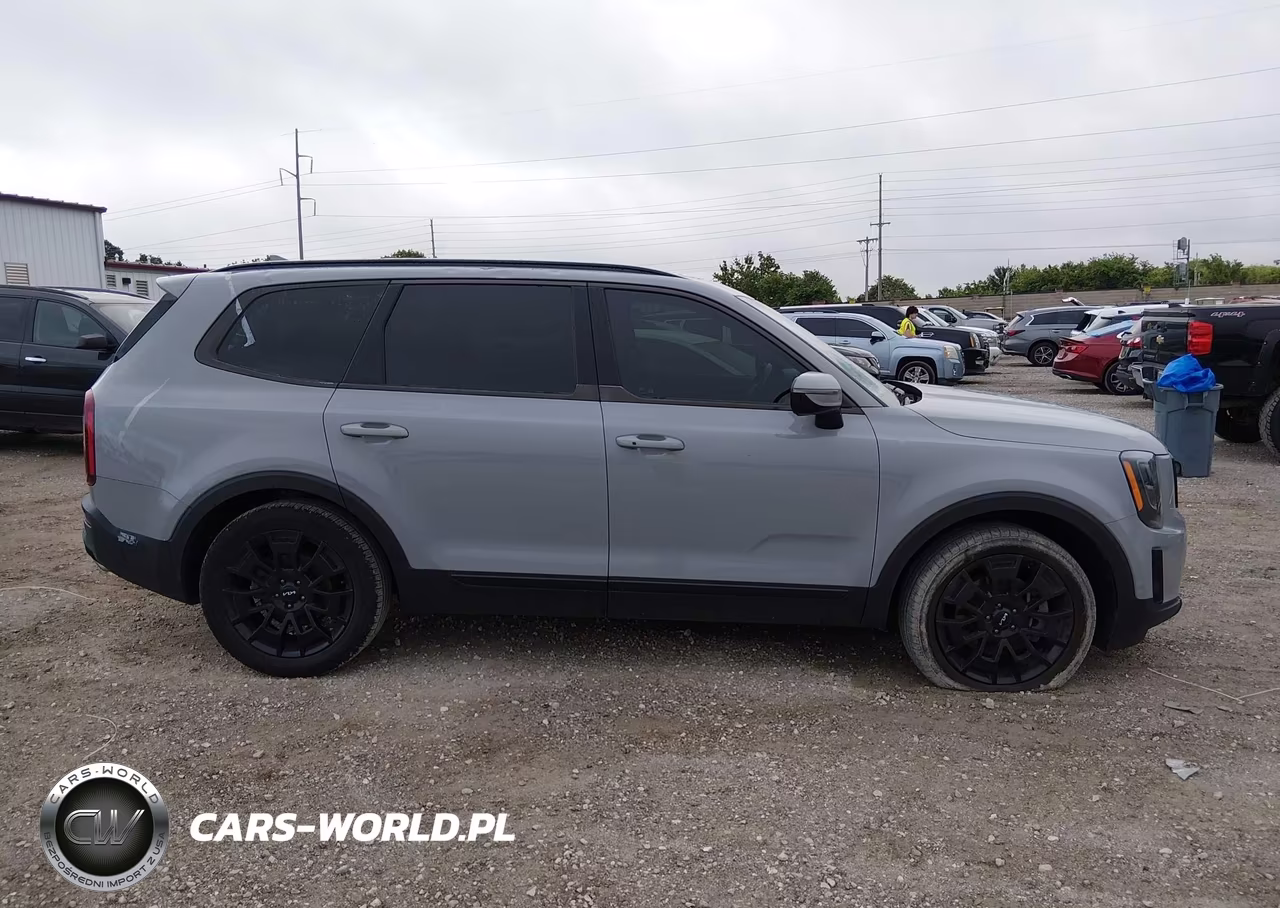 2022 Kia Telluride Sx VIN:5XYP5DHC0NG285239 - 13