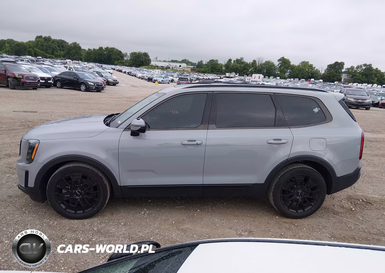 2022 Kia Telluride Sx VIN:5XYP5DHC0NG285239 - 14
