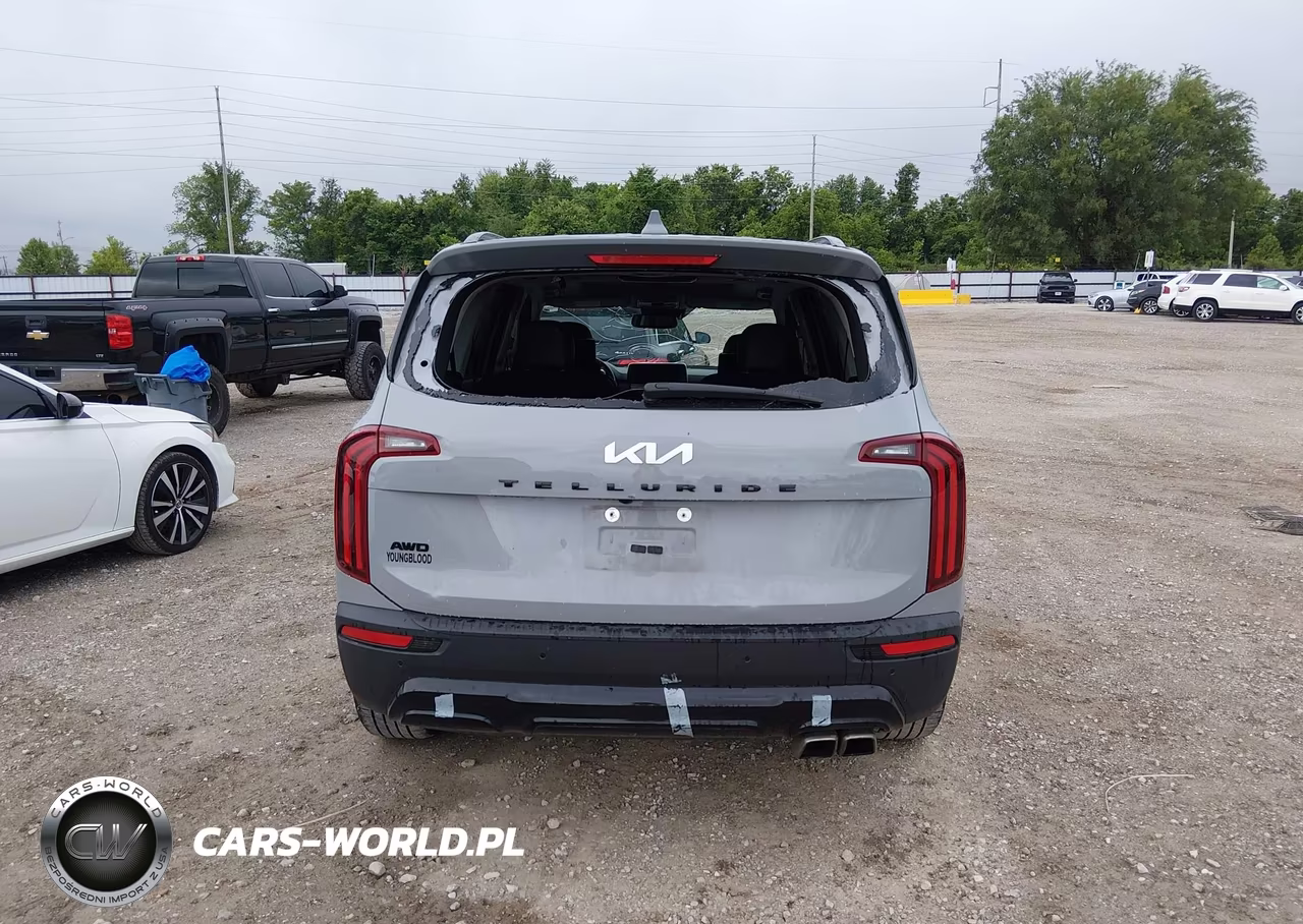 2022 Kia Telluride Sx VIN:5XYP5DHC0NG285239 - 16
