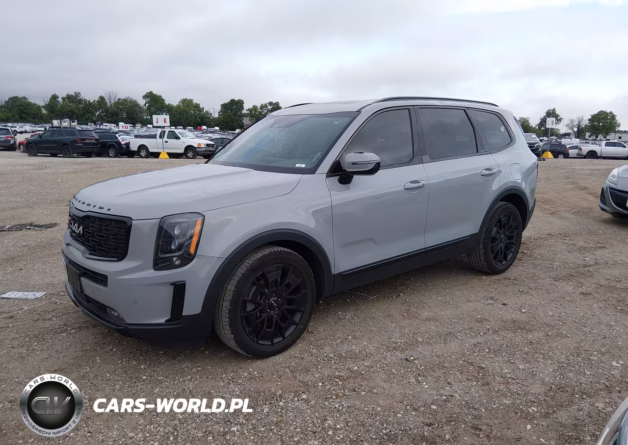 2022 Kia Telluride Sx VIN:5XYP5DHC0NG285239 - 2