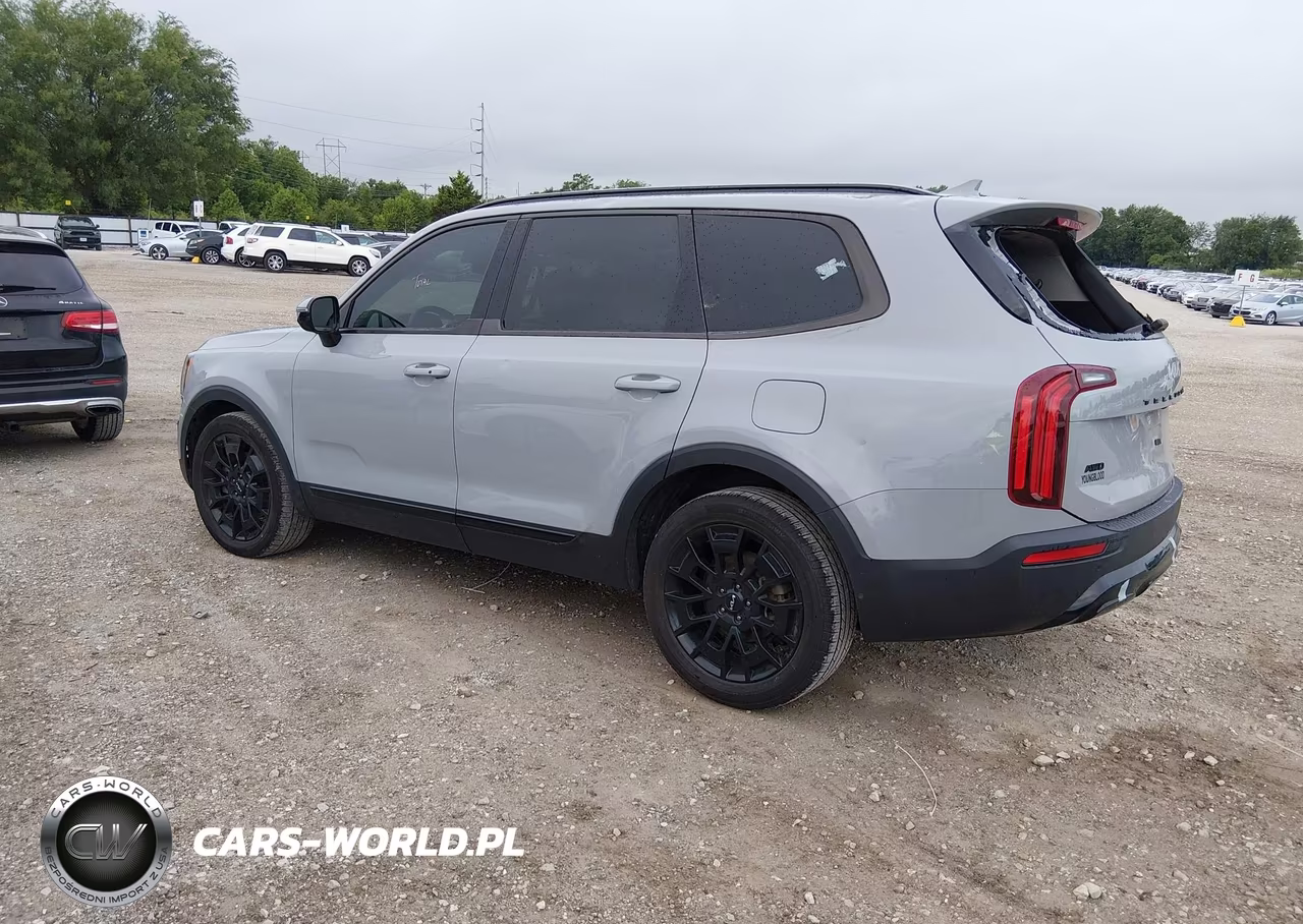 2022 Kia Telluride Sx VIN:5XYP5DHC0NG285239 - 3