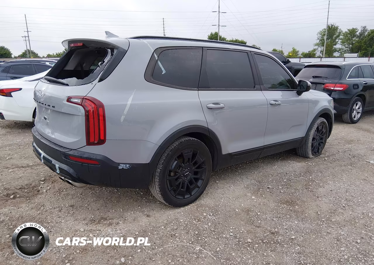 2022 Kia Telluride Sx VIN:5XYP5DHC0NG285239 - 4