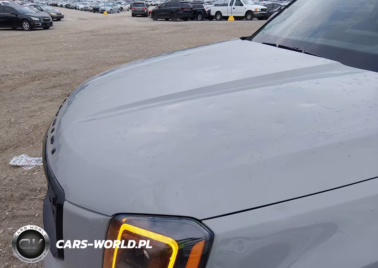 2022 Kia Telluride Sx VIN:5XYP5DHC0NG285239 - 6