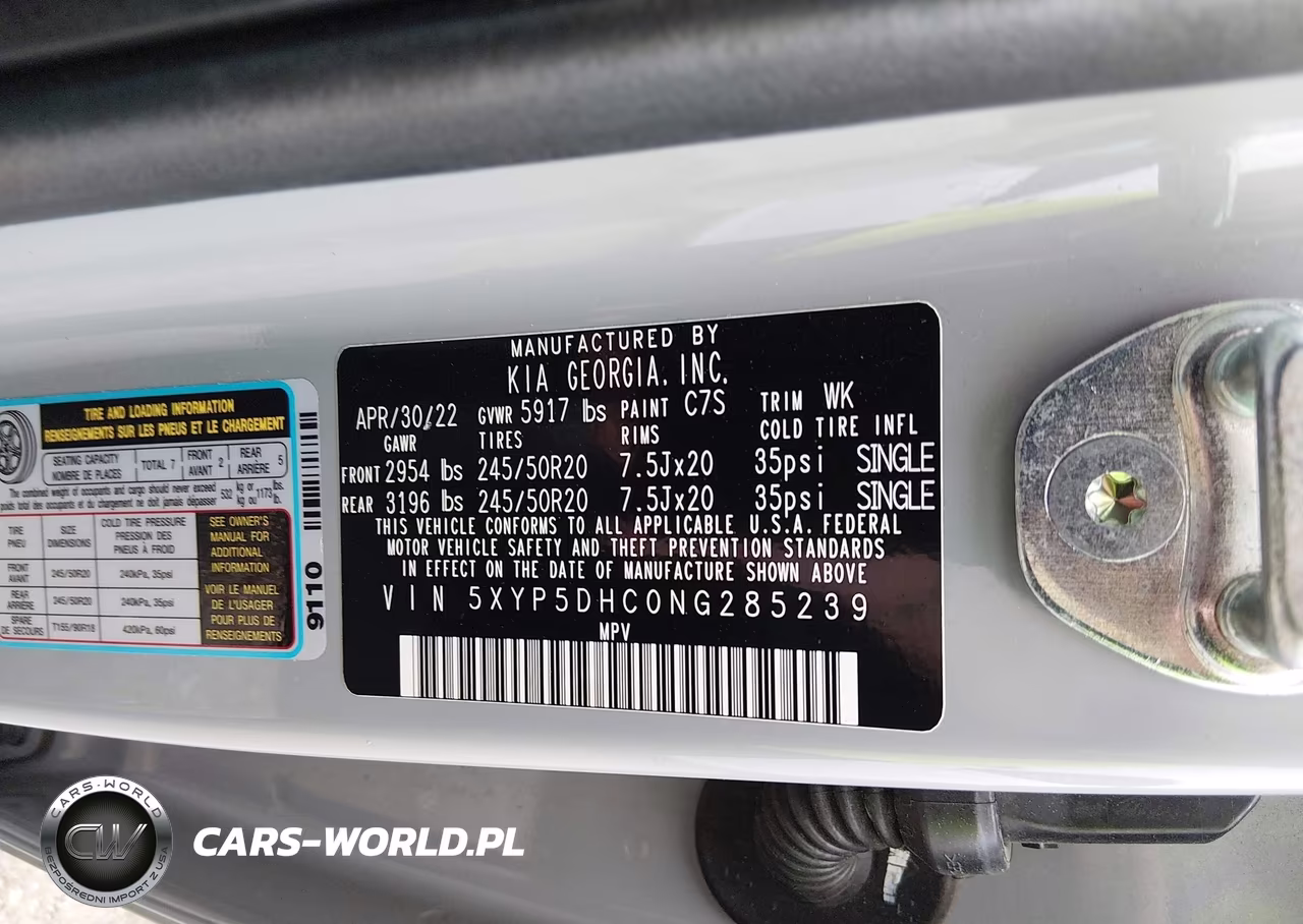 2022 Kia Telluride Sx VIN:5XYP5DHC0NG285239 - 9