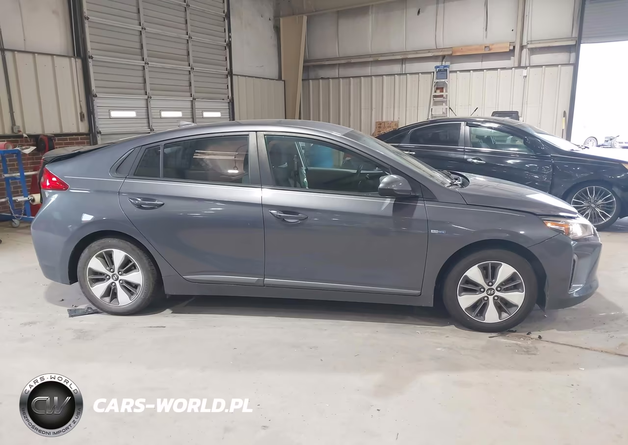 2019 Hyundai Ioniq Plug-In Hybrid VIN:KMHC65LD9KU105716 - 13