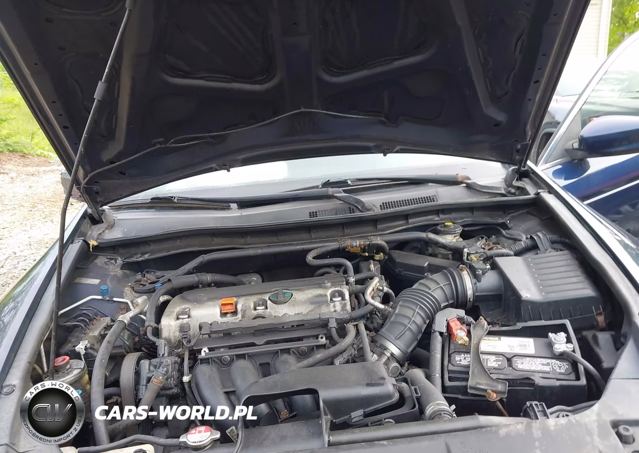 2010 Honda Accord 2.4 Ex VIN:1HGCP2F72AA060979 - 10