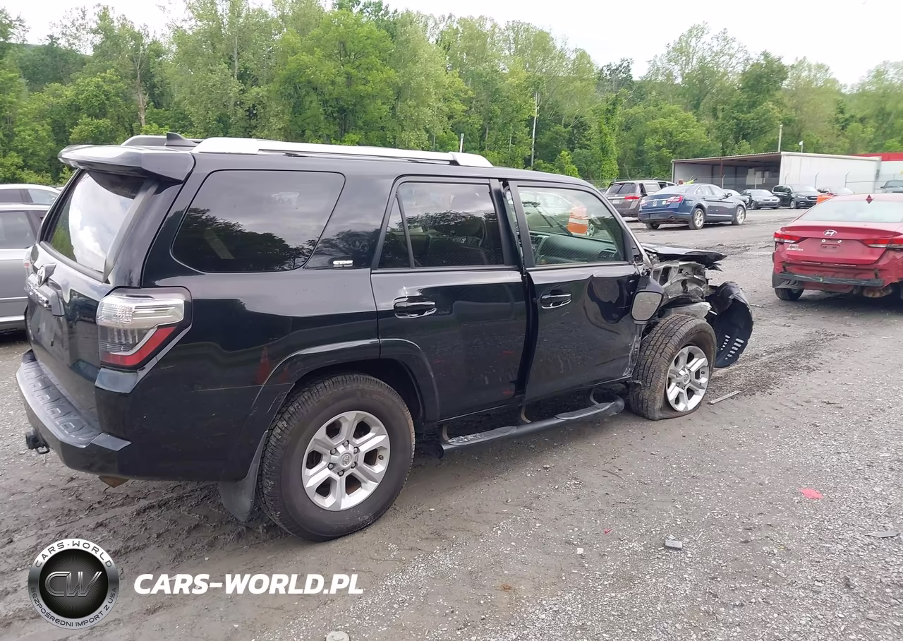 2017 Toyota 4Runner Sr5 Premium VIN:JTEBU5JRXH5459005 - 4