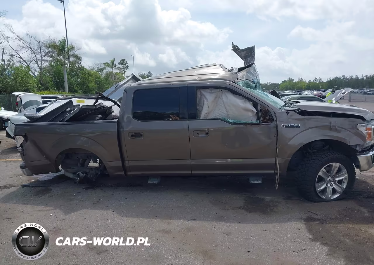 2019 Ford F-150 Xlt VIN:1FTEW1CP0KFB33683 - 12
