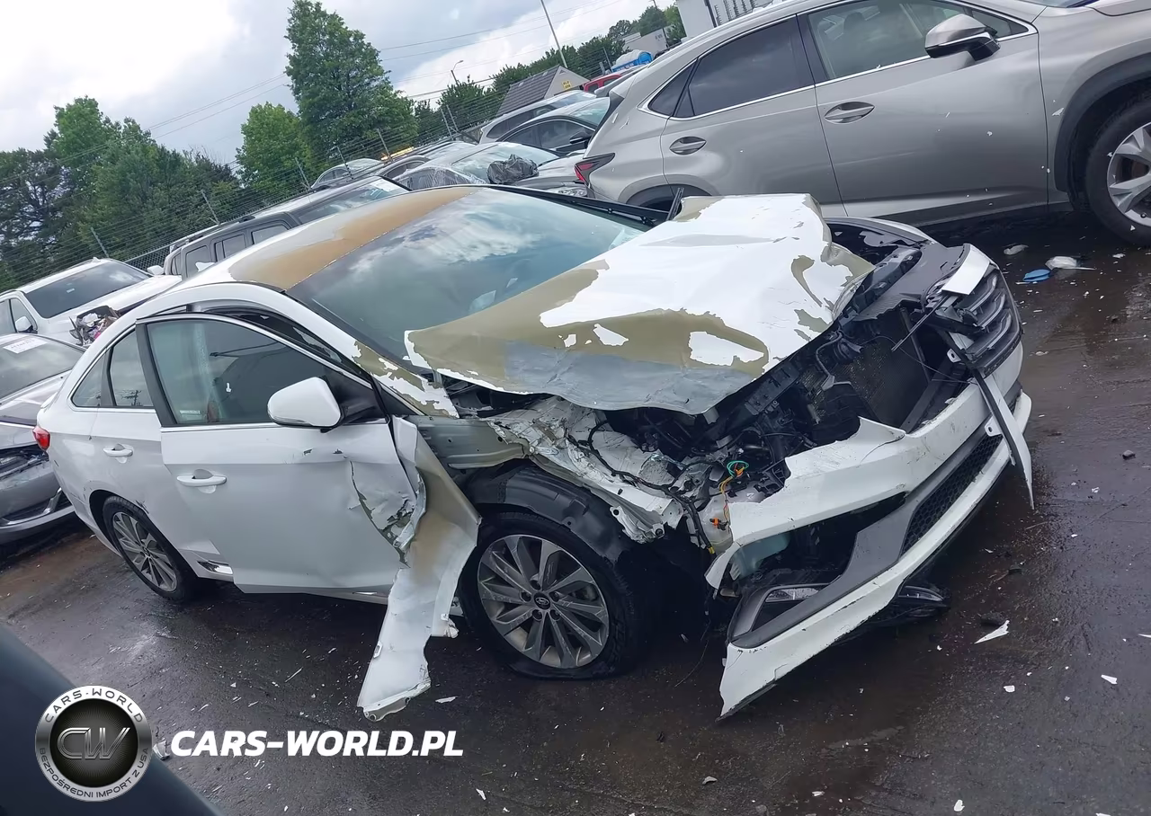 2017 Hyundai Sonata Sport VIN:5NPE34AF0HH483026 - 12