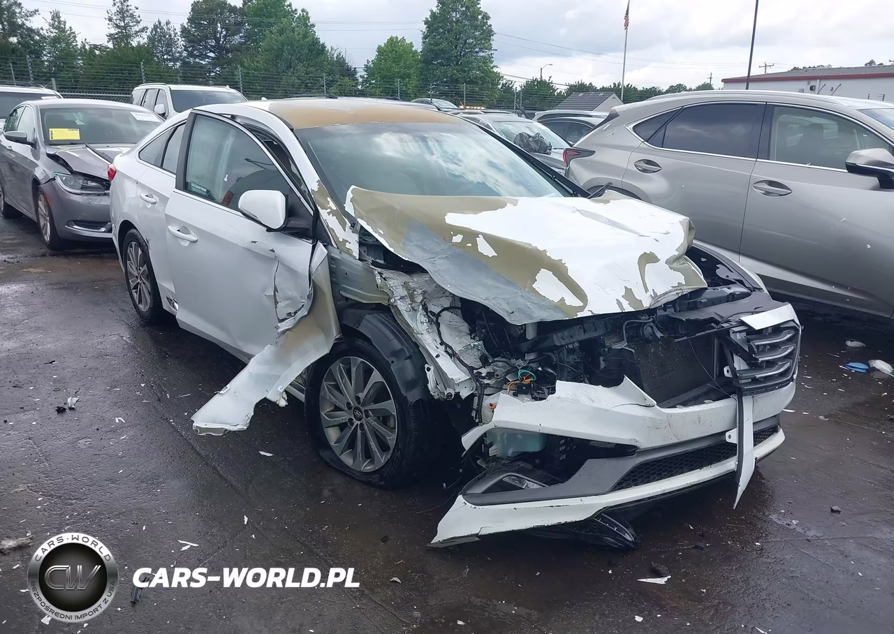 2017 Hyundai Sonata Sport VIN:5NPE34AF0HH483026 - 6